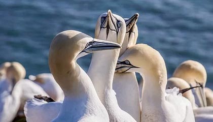 星空体育平台-开云：让云端成为生产力的新起点